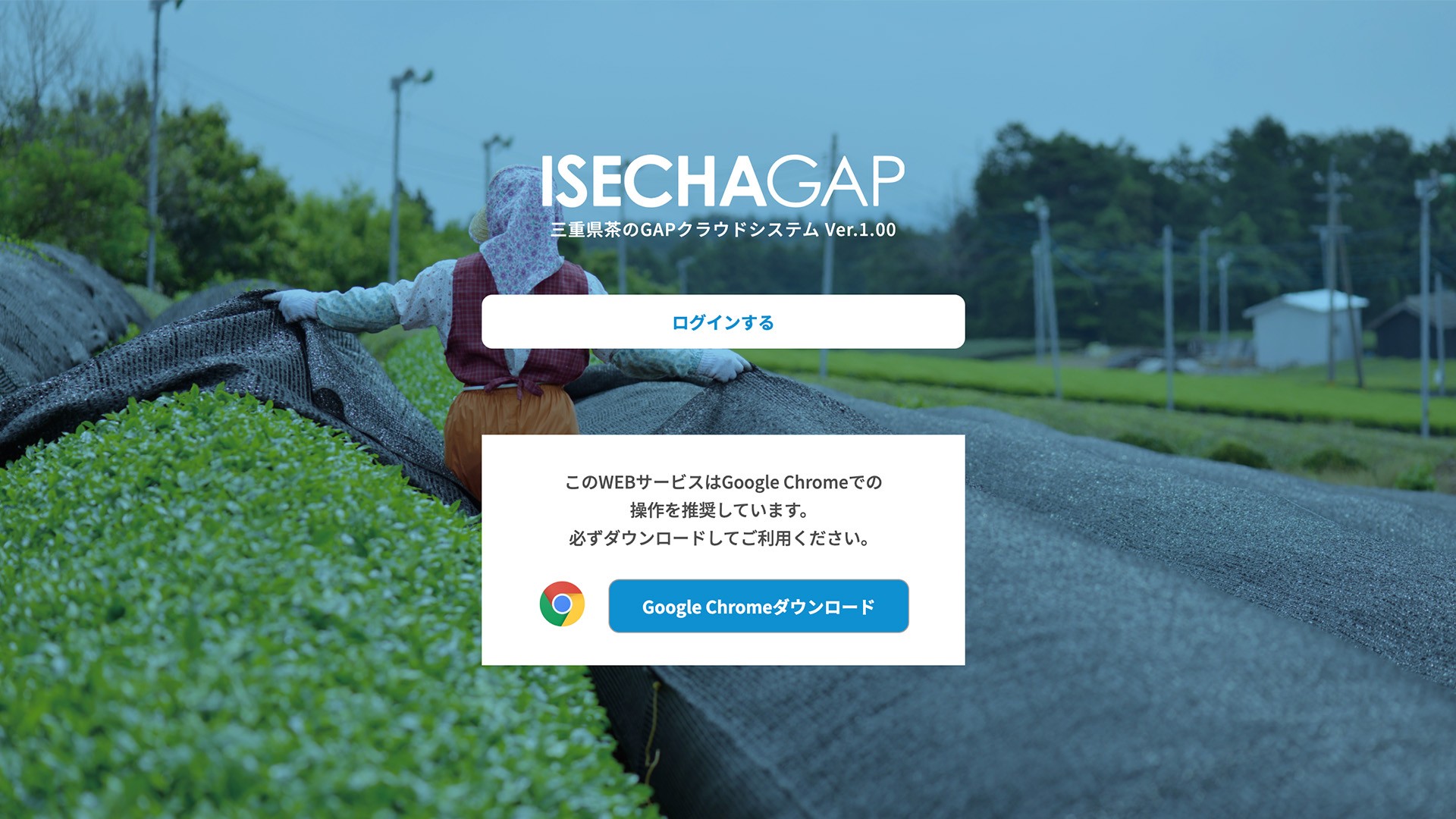 三重県伊勢茶GAP